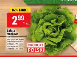 Polomarket Sałata masłowa oferta