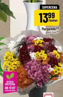 Polomarket Margaretki oferta