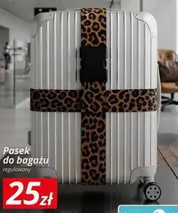 KiK Pasek do bagażu regulowany oferta