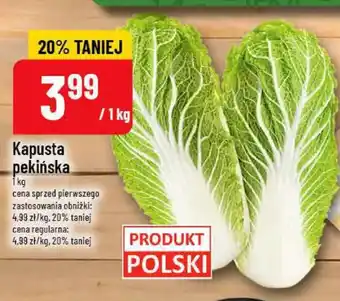 Polomarket Kapusta pekińska oferta