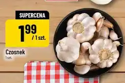 Polomarket Czosnek oferta