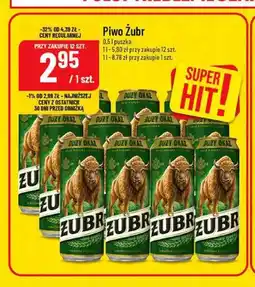 Polomarket Piwo Żubr oferta