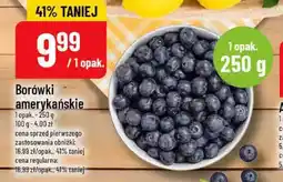 Polomarket Borówki amerykańskie oferta