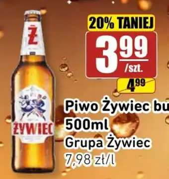API MARKET Piwo Żywiec oferta
