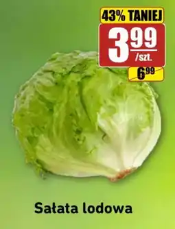 API MARKET Sałatka lodowa oferta