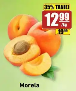 API MARKET Morela oferta