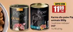 API MARKET Karma dla psów Piper animals oferta