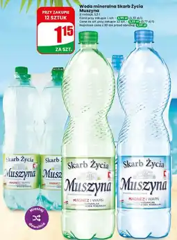 Dino Woda mineralna Skarb Życia Muszyna oferta