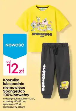Pepco Koszulka lub spodnie niemowlęce SpongeBob oferta