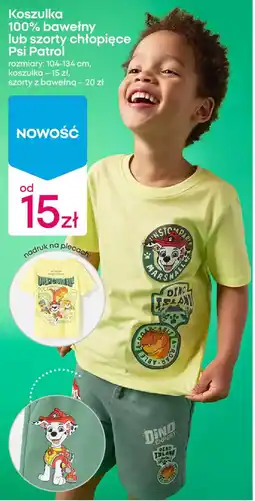 Pepco Koszulka Psi Patrol oferta
