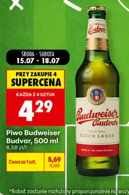 Biedronka Piwo Budweiser Budvar oferta