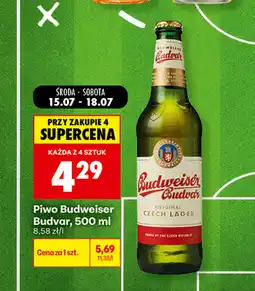 Biedronka Piwo Budweiser Budvar oferta