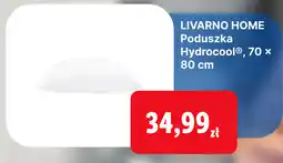 Lidl LIVARNO HOME Poduszka Hydrocool , 70 x 80 cm oferta
