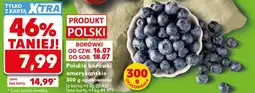 Kaufland Borówki amerykańskie Polski oferta