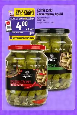 Polomarket Korniszony mini z chili Zaczarowany Ogród oferta