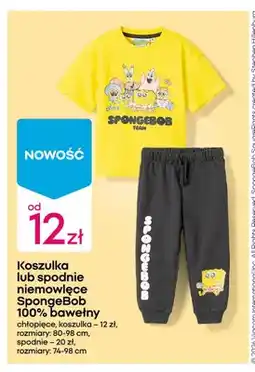 Pepco Koszulka niemowlęca SpongeBob SquarePants oferta