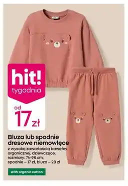 Pepco Bluza niemowlęca oferta