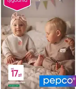 Pepco Odzież niemowlęca Pepco oferta