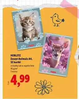 Lidl Zeszyt Animals A4 w kratkę 32 kartki Herlitz oferta
