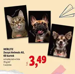 Lidl Zeszyt Herlitz Animals A5 60 kartek w kratkę oferta