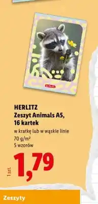 Lidl Zeszyt Animals A5 w wąskie linie 16 kartek Herlitz oferta
