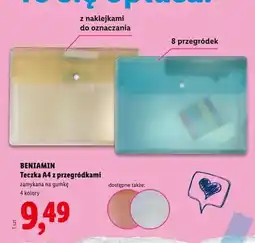 Lidl Teczka A4 z przegródkami Beniamin oferta
