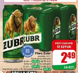 Dino Piwo Żubr oferta