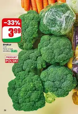 Dino Brokuł polski oferta