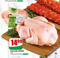 Dino Kurczak sielski Premium oferta