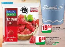 Dino Truskawki mrożone Mroźny Ogród oferta