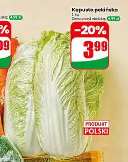 Dino Kapusta pekińska polska oferta