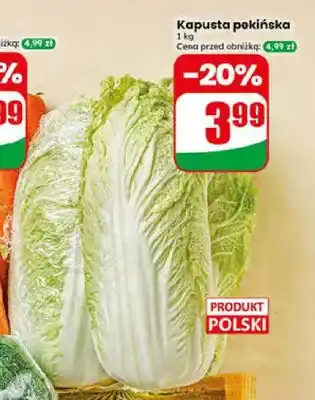 Dino Kapusta pekińska polska oferta