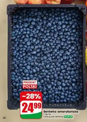 Dino Borówka amerykańska oferta