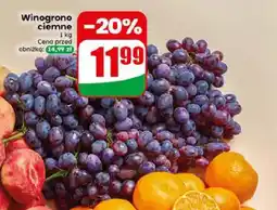 Dino Winogrono ciemne oferta