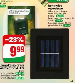 Dino Lampka solarna ścienna prostokątna 4 LED oferta