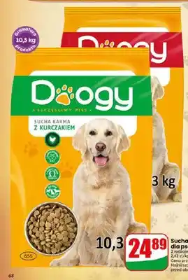 Dino Sucha karma dla psa z kurczakiem Doogy oferta