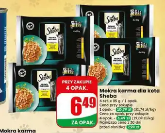 Dino Mokra karma dla kota Sheba oferta