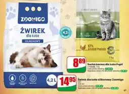 Dino Żwirek dla kota silikonowy Zoomigo oferta