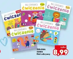 Kaufland Książka Mali odkrywcy ćwiczenia 2-latka Zielona Sowa oferta