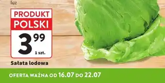 Intermarche Sałata lodowa oferta