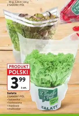 Intermarche Sałata batawska Z Sadów i Pól oferta