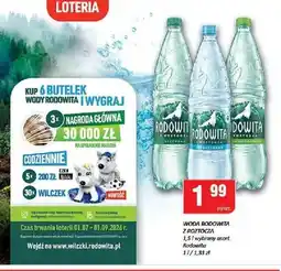 Chorten Woda mineralna Rodowita z Roztocza delikatnie gazowana oferta