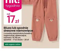 Pepco Spodnie dresowe niemowlęce oferta