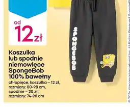 Pepco Spodnie niemowlęce SpongeBob SquarePants oferta