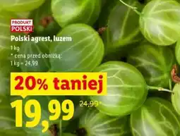 Lidl Polski agrest, luzem oferta
