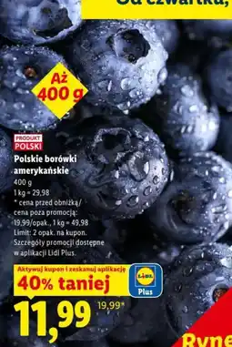Lidl Polskie borówki amerykańskie oferta