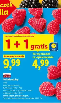 Lidl Polskie maliny oferta