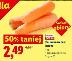 Lidl Polska marchew, luzem oferta