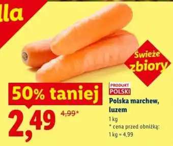 Lidl Polska marchew, luzem oferta