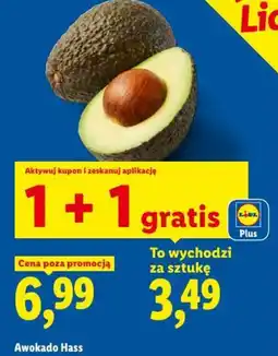 Lidl Awokado Hass oferta